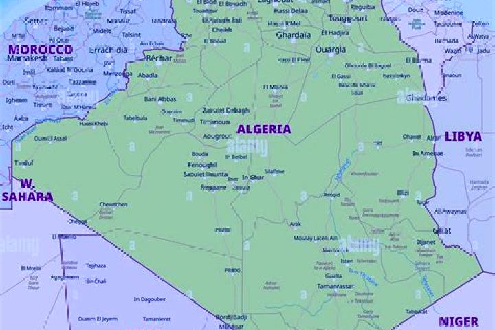 Escorts Chebli, Algeria — Local Companions