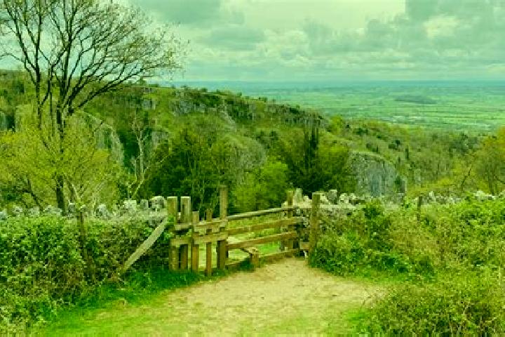 Escorts Cheddar, United Kingdom — Local Companions