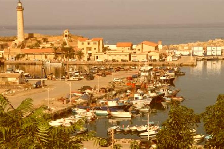 Escorts Cherchell, Algeria — Local Companions
