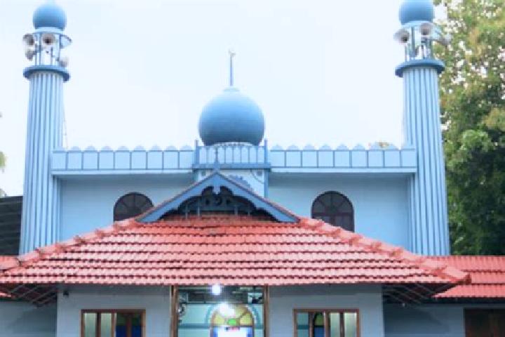 Escorts Cherukunnu, India — Local Companions