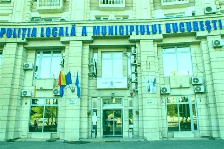 Escorts Chesa, Romania — Local Companions