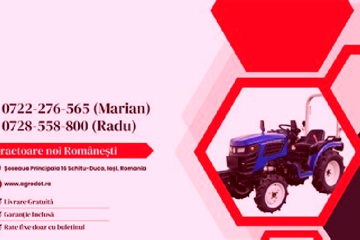 Escorts Chetani, Romania — Local Companions