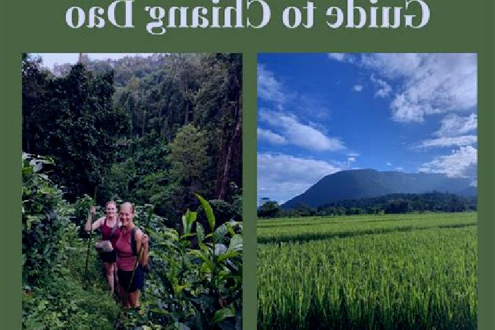 Escorts Chiang Dao, Thailand — Local Companions