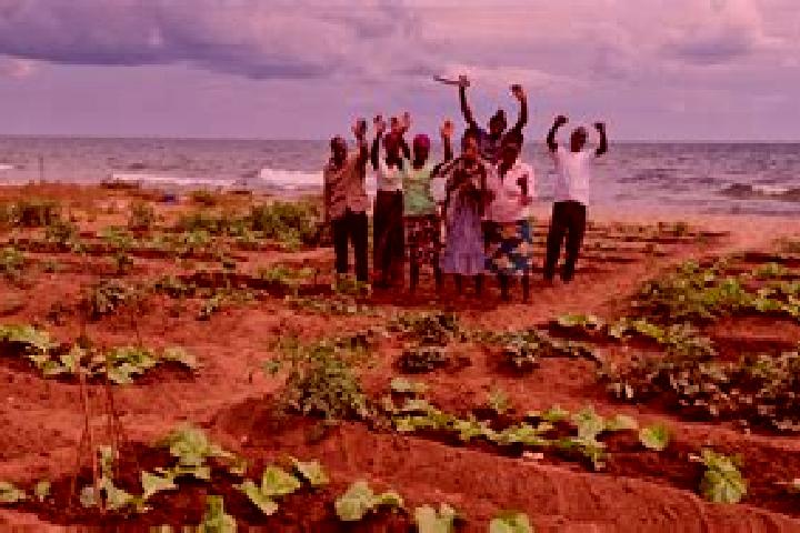 Escorts Chikwawa, Malawi — Local Companions