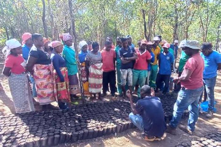 Escorts Chimanimani, Zimbabwe — Local Companions