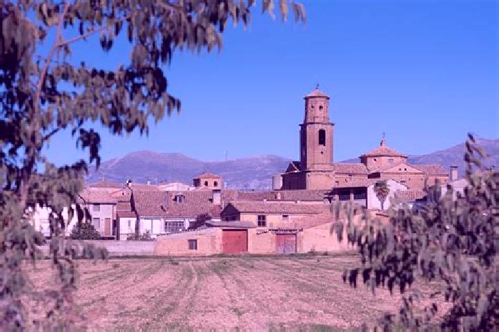 Escorts Chimillas, Spain — Local Companions