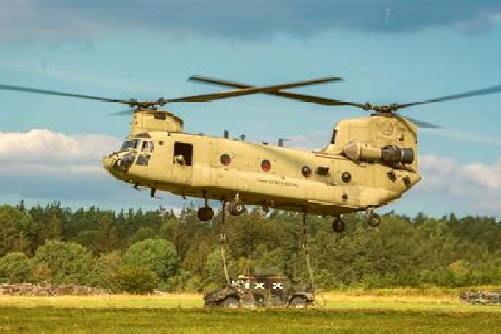 Escorts Chinook, United States — Local Companions