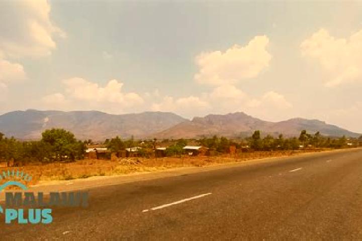 Escorts Chiradzulu, Malawi — Local Companions