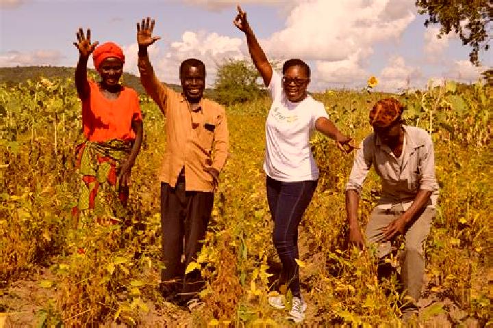 Escorts Chisasa, Zambia — Local Companions