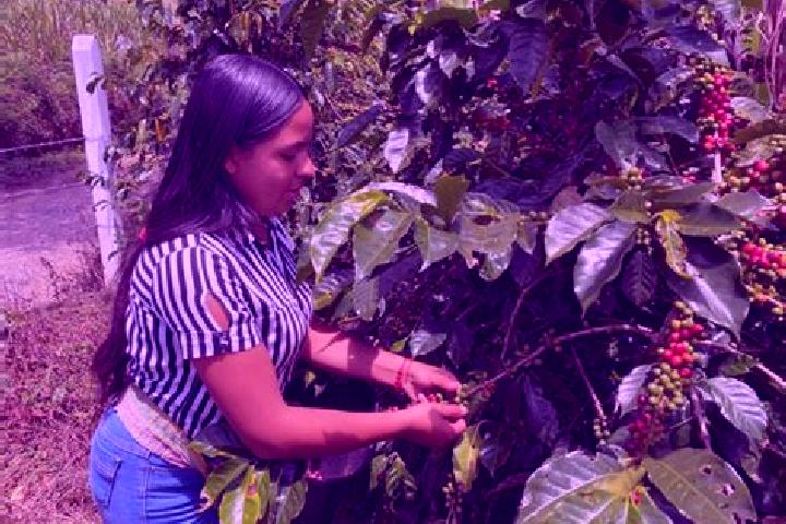 Escorts Chitaraque, Colombia — Local Companions