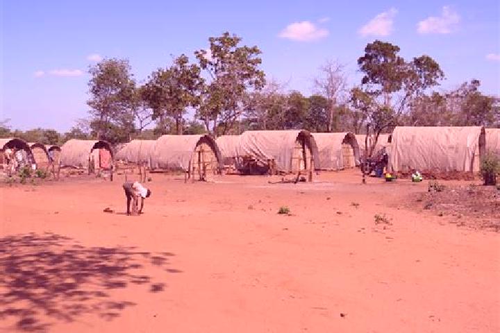 Escorts Chiure, Mozambique — Local Companions