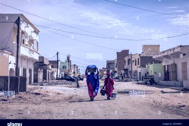 Escorts Chkata, Mauritania — Local Companions