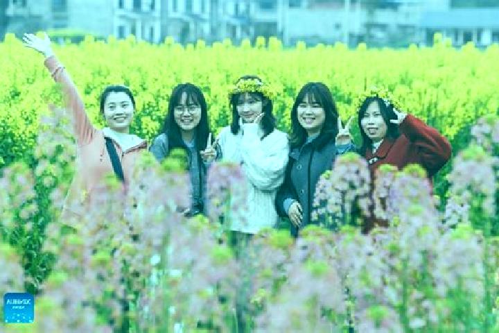 Escorts Chongkan, China — Local Companions
