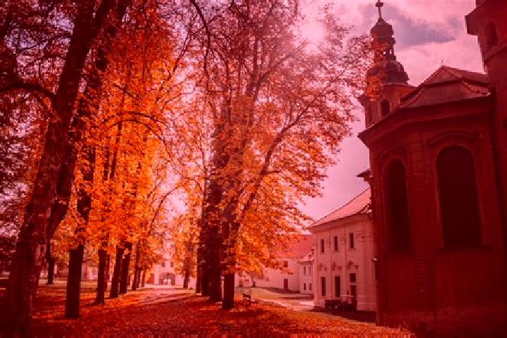 Escorts Chotesov, Czech Republic — Local Companions