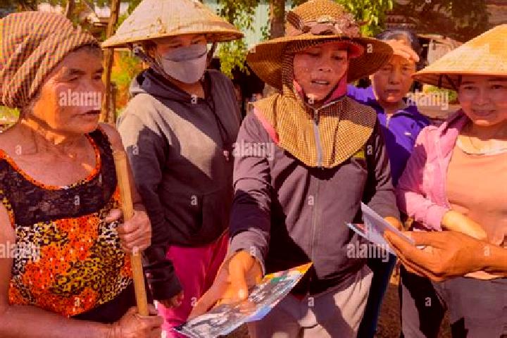 Escorts Chu Prong, Vietnam — Local Companions