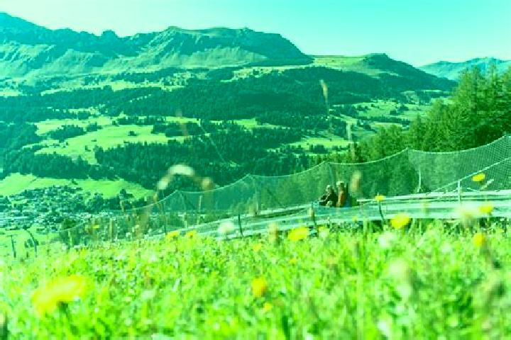 Escorts Churwalden, Switzerland — Local Companions