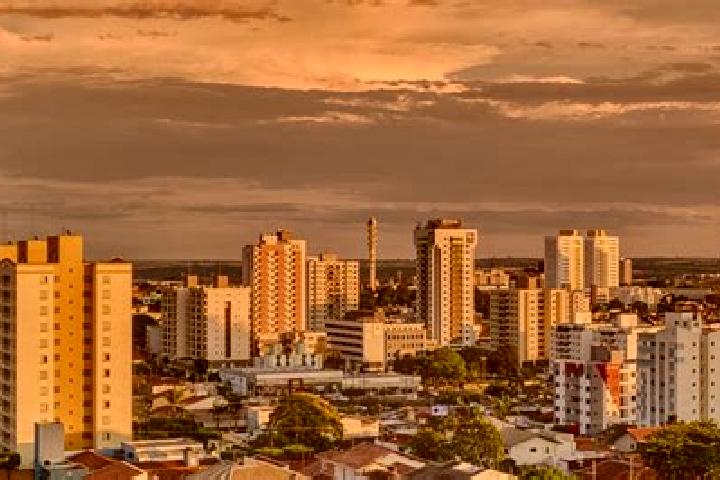 Escorts Cidade Nova, Brazil — Local Companions