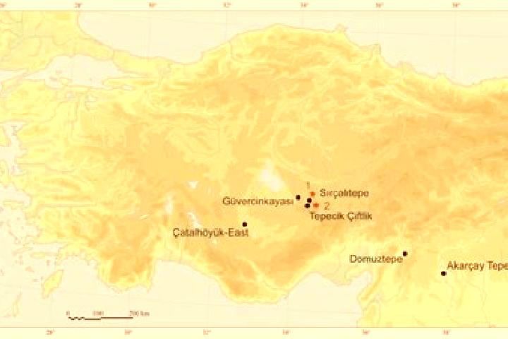 Escorts Ciftlik, Turkey — Local Companions