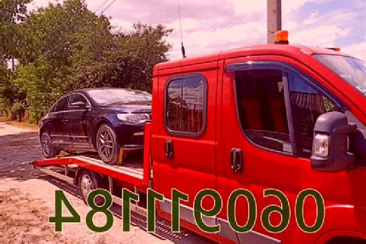 Escorts Cimislia, Moldova — Local Companions