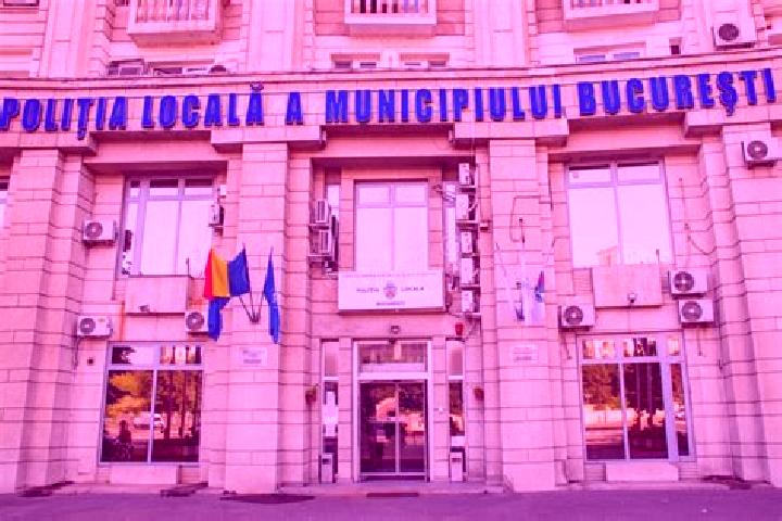Escorts Cislau, Romania — Local Companions