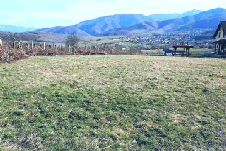 Escorts Cisnadie, Romania — Local Companions