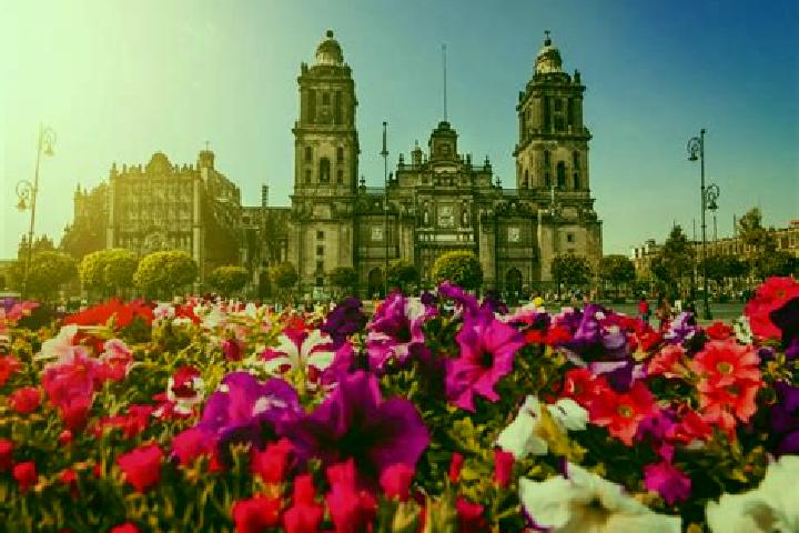 Escorts Ciudad Coahuila, Mexico — Local Companions