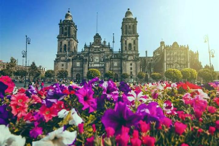 Escorts Ciudad Madero, Mexico — Local Companions