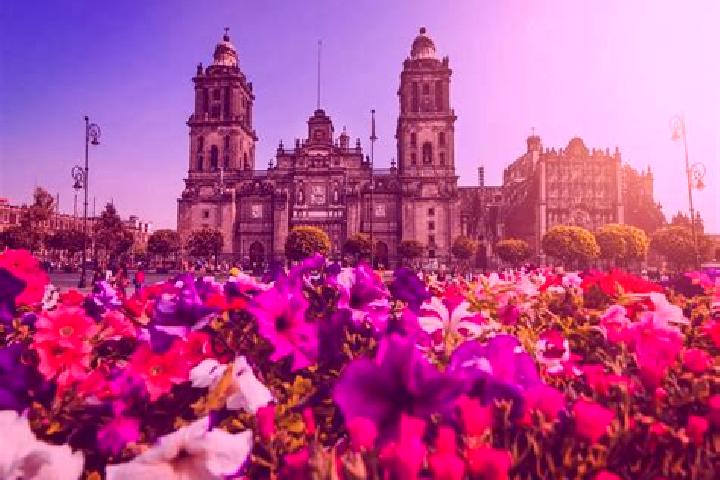 Escorts Ciudad Morelos, Mexico — Local Companions