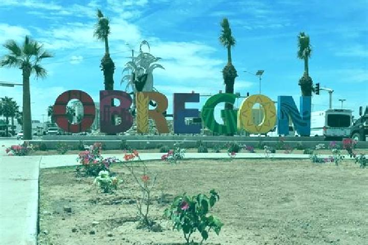 Escorts Ciudad Obregon, Mexico — Local Companions