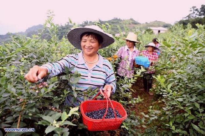 Escorts Cizhu, China — Local Companions