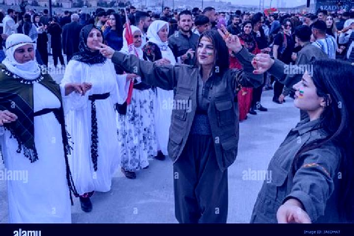 Escorts Cizre, Turkey — Local Companions