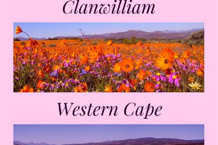 Escorts Clanwilliam, South Africa — Local Companions