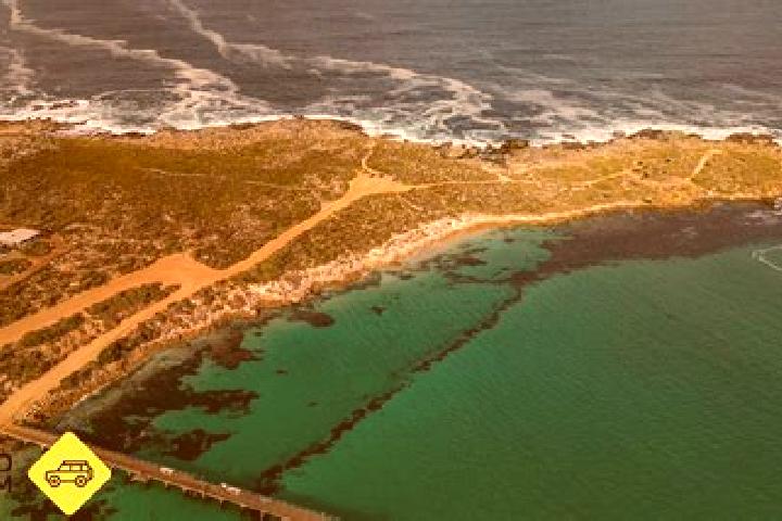 Escorts Coal Point, Australia — Local Companions