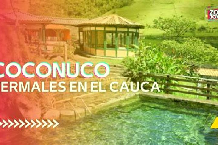 Escorts Coconuco, Colombia — Local Companions
