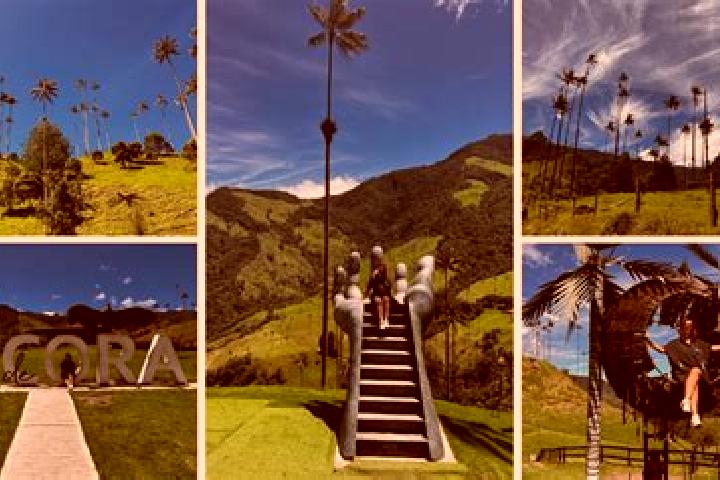Escorts Cocora, Romania — Local Companions