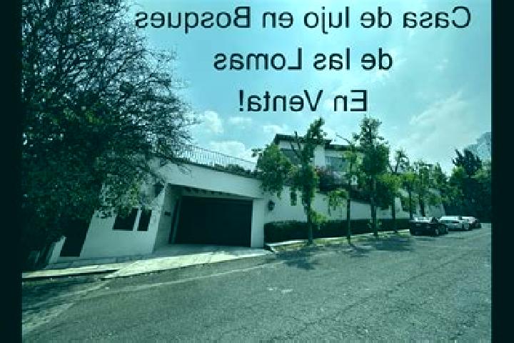 Escorts Col. Bosques de las Lomas, Mexico — Local Companions
