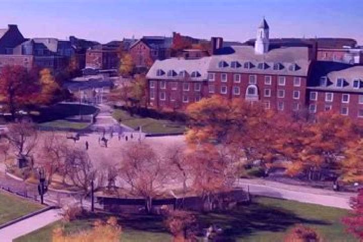 Escorts College Park, United States — Local Companions