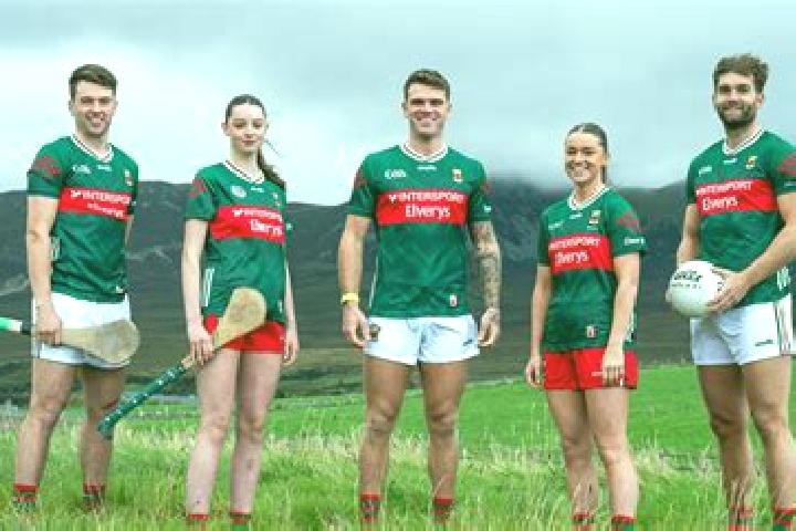 Escorts Collooney, Ireland — Local Companions