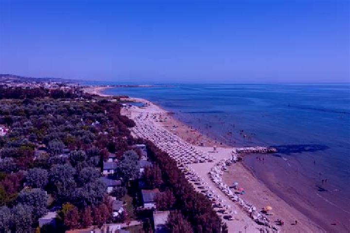 Escorts Cologna Spiaggia, Italy — Local Companions