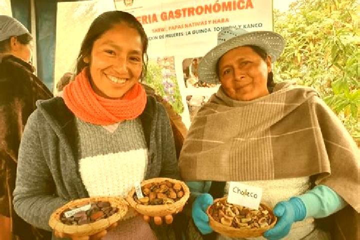 Escorts Colomi, Bolivia — Local Companions