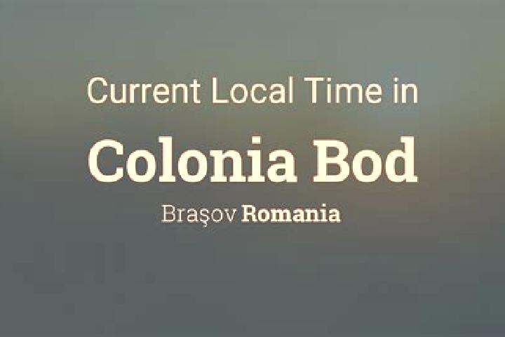 Escorts Colonia Bod, Romania — Local Companions