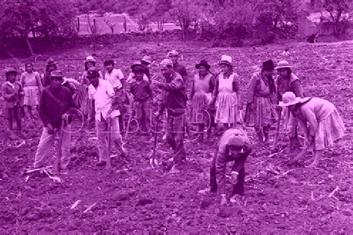 Escorts Colonia Campesina, Mexico — Local Companions