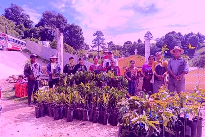 Escorts Comalapa, Guatemala — Local Companions