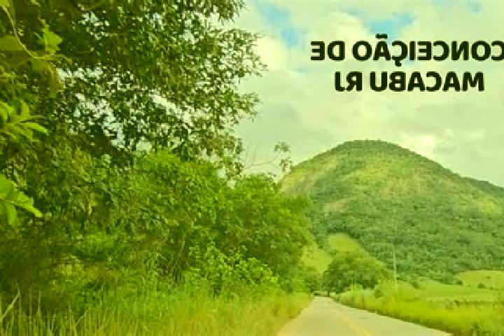 Escorts Conceicao de Macabu, Brazil — Local Companions