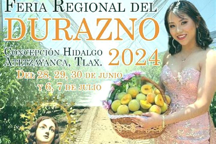 Escorts Concepcion Hidalgo, Mexico — Local Companions
