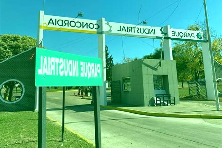 Escorts Concordia, Argentina — Local Companions