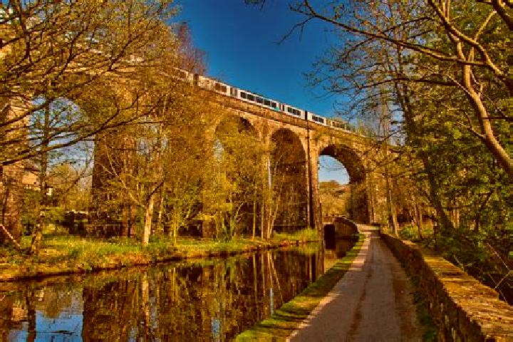 Escorts Conon Bridge, United Kingdom — Local Companions