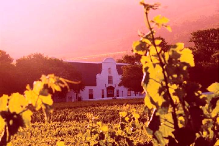 Escorts Constantia, South Africa — Local Companions