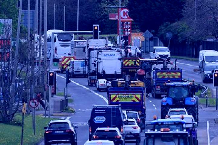 Escorts Convoy, Ireland — Local Companions