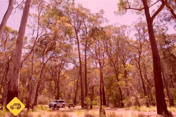 Escorts Coolah, Australia — Local Companions